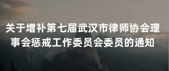 关于增补第七届武汉市律师协会理事会惩戒工作委员会委员的通知
